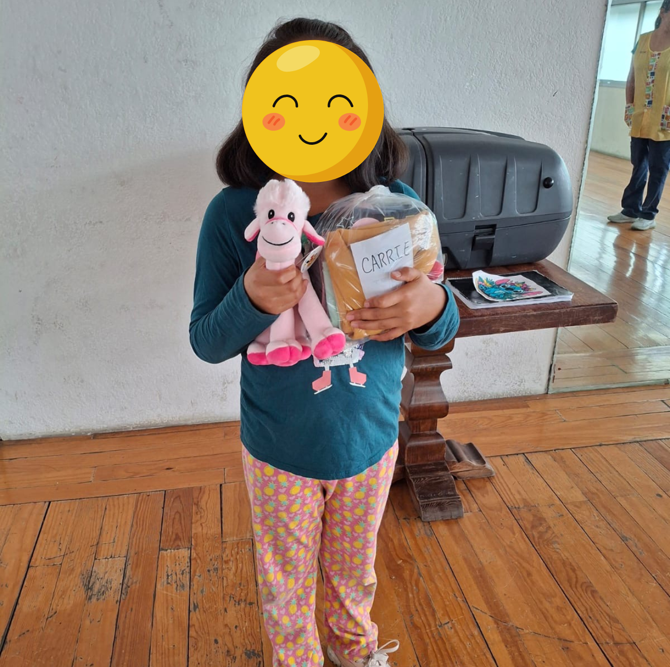 Voluntariado 2