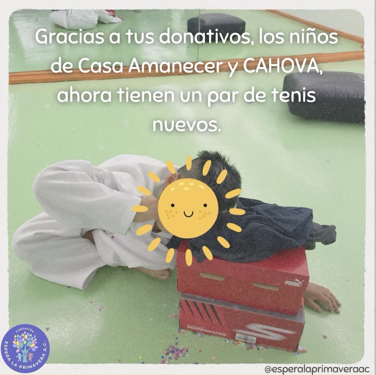 Voluntariado 2