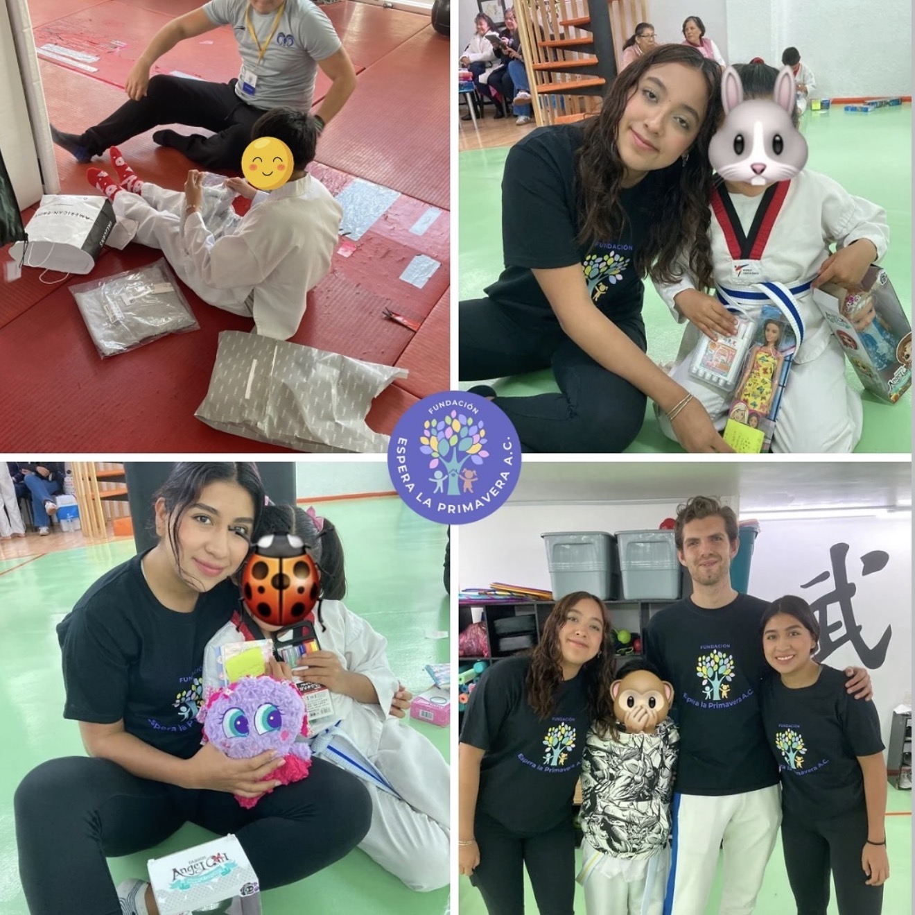 Voluntariado 2