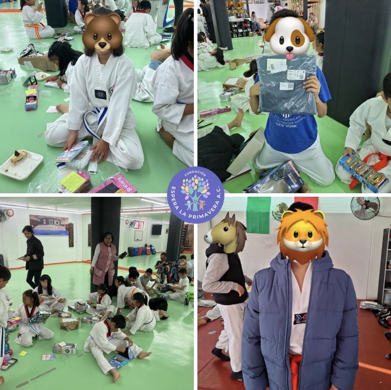 Voluntariado 3
