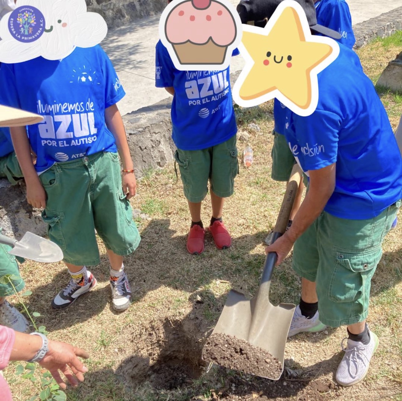 Voluntariado 3